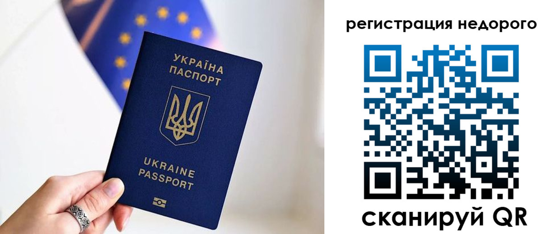прописка 2025 в Истре